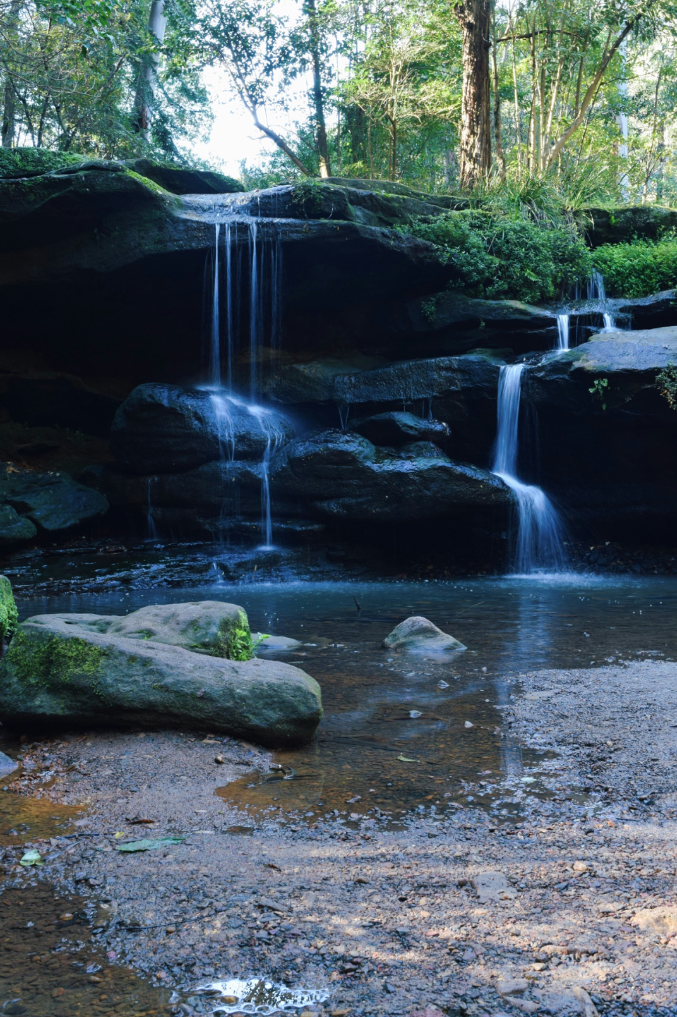 A quiet woodland waterfall and stream